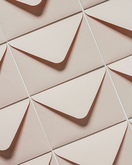 newsletterOrquikimonosq